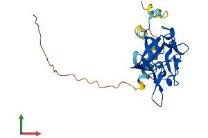 AlphaFold protein structure predicition of Human Recombinant FGF16 Protein, UniprotID O43320