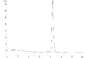 The purity of Mouse CD4 is greater than 95 % as determined by SEC-HPLC.