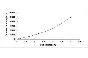 Typical standard curve (TDGF1 Kit ELISA)