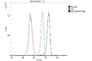 Flow Cytometry analysis of HL-60 cells using anti-ACACB antibody (ABIN7602757).