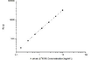 Typical standard curve (STK39 Kit CLIA)