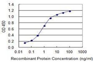 Detection limit for recombinant GST tagged SLC24A1 is 0.
