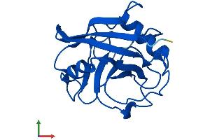 AlphaFold protein structure predicition of Human Recombinant PPIAL4G Protein, UniprotID P0DN37