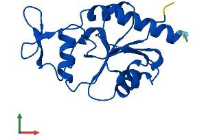 AlphaFold protein structure predicition of Mouse Recombinant Mdp1 Protein, UniprotID Q9D967