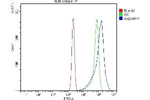 Flow Cytometry analysis of U2OS cells using anti-RASGRP1 antibody (ABIN7602498). (RASGRP1 anticorps  (AA 8-678))