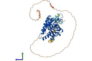 AlphaFold protein structure predicition of Human Recombinant RXRG Protein, UniprotID P48443