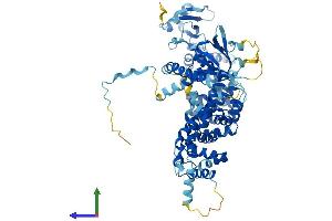 AlphaFold protein structure predicition of Mouse Recombinant Elmo3 Protein, UniprotID Q8BYZ7