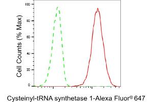 Flow cytometric analysis of Cysteinyl-tRNA synthetase 1 expression in HT- cells using Cysteinyl-tRNA synthetase 1 antibody (ABIN7800919), 1:2,000). (Recombinant Cysteinyl-TRNA Synthetase 1 anticorps)