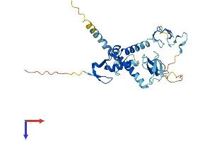 AlphaFold protein structure predicition of Human Recombinant RNF144A Protein, UniprotID P50876