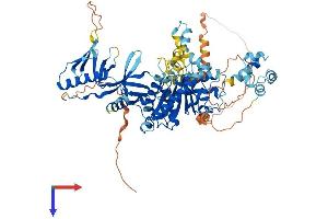 AlphaFold protein structure predicition of Mouse Recombinant Ddhd2 Protein, UniprotID Q80Y98