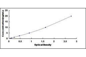 Poly(A) Binding Protein, Cytoplasmic 1-Like (PABPC1L) ELISA Kit