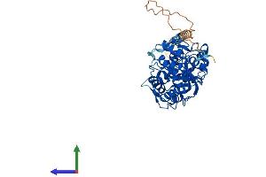 AlphaFold protein structure predicition of Mouse Recombinant St8sia5 Protein, UniprotID P70126