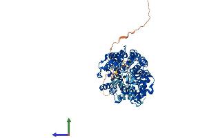 AlphaFold protein structure predicition of Human Recombinant SLC6A3 Protein, UniprotID Q01959