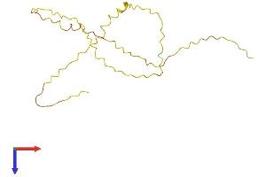 AlphaFold protein structure predicition of Human Recombinant ZNF321P Protein, UniprotID Q8N8H1