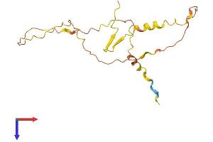 AlphaFold protein structure predicition of Human Recombinant DANCR Protein, UniprotID P0C864