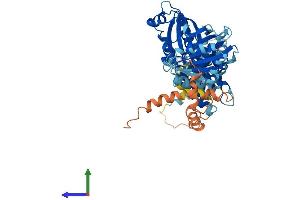 AlphaFold protein structure predicition of Human Recombinant SLFN12 Protein, UniprotID Q8IYM2