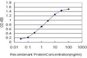 Detection limit for recombinant GST tagged BACH1 is approximately 0.