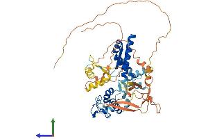 AlphaFold protein structure predicition of Human Recombinant NRF1 Protein, UniprotID Q16656