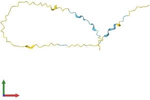 AlphaFold protein structure predicition of Human Recombinant GAGE2A Protein, UniprotID Q6NT46
