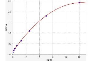 Typical standard curve