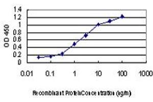 anti-DNA-Damage-Inducible Transcript 3 (DDIT3) (AA 1-90) antibody
