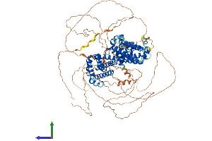 AlphaFold protein structure predicition of Human Recombinant RFX1 Protein, UniprotID P22670