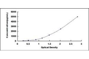 Typical standard curve (GDF9 Kit ELISA)