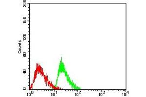 Flow cytometric analysis of HL-60 cells using ATXN1 mouse mAb (green) and negative control (red).