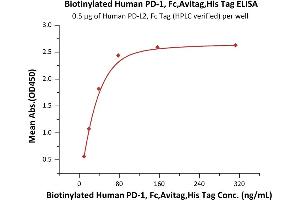 Immobilized Human PD-L2, Fc Tag (HPLC verified) (ABIN2181601,ABIN2749238) at 5 μg/mL (100 μL/well) can bind Biotinylated Human PD-1, Fc,Avitag,His Tag (ABIN6973192) with a linear range of 10-40 ng/mL (Routinely tested).