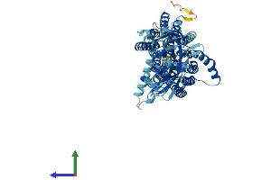 AlphaFold protein structure predicition of Human Recombinant SLC15A1 Protein, UniprotID P46059