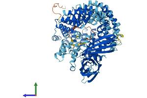 AlphaFold protein structure predicition of Human Recombinant COPG2 Protein, UniprotID Q9UBF2
