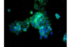 Image provided by One World Lab validation program.