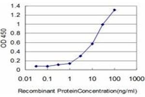 Detection limit for recombinant GST tagged IFI16 is approximately 0. (IFI16 anticorps  (AA 630-729))