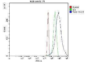 Flow Cytometry analysis of Hela cells using anti-PKM2 antibody (ABIN7603151).