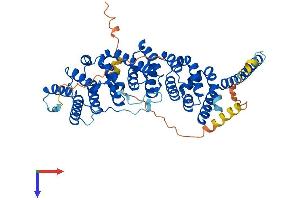 AlphaFold protein structure predicition of Human Recombinant PPP2R5C Protein, UniprotID Q13362