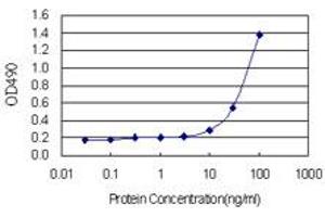 Sandwich ELISA detection sensitivity ranging from 3 ng/mL to 100 ng/mL. (SPR (Humain) Matched Antibody Pair)
