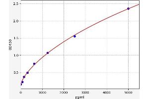 Fatty Acid Desaturase 2 (FADS2) ELISA Kit