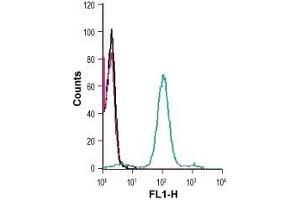 Cell surface detection of CCR2 in live intact human THP-1 monocytic leukemia cells: (black line) Cells.