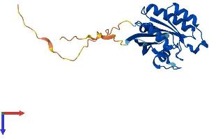 AlphaFold protein structure predicition of Mouse Recombinant Rab5a Protein, UniprotID Q9CQD1