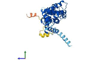 AlphaFold protein structure predicition of Mouse Recombinant Elmod1 Protein, UniprotID Q3V1U8