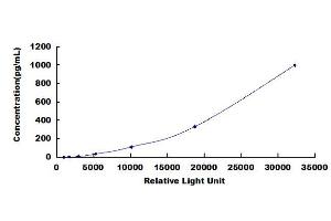 ELISA image for Interferon gamma (IFNG) CLIA Kit (ABIN1081602)