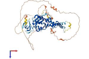 AlphaFold protein structure predicition of Mouse Recombinant Exd1 Protein, UniprotID Q8CDF7