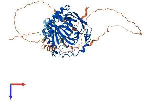 AlphaFold protein structure predicition of Human Recombinant KDM4D Protein, UniprotID Q6B0I6