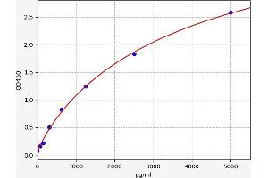 Typical standard curve (UCHL1 Kit ELISA)