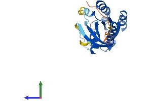 AlphaFold protein structure predicition of Mouse Recombinant Rab10 Protein, UniprotID P61027