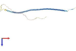 AlphaFold protein structure predicition of Human Recombinant ARGLU1 Protein, UniprotID Q9NWB6