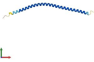 AlphaFold protein structure predicition of Human Recombinant VAMP8 Protein, UniprotID Q9BV40