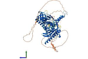 AlphaFold protein structure predicition of Human Recombinant OSBPL10 Protein, UniprotID Q9BXB5