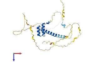 AlphaFold protein structure predicition of Mouse Recombinant Hmx2 Protein, UniprotID P43687