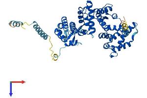 AlphaFold protein structure predicition of Human Recombinant PPP2R3C Protein, UniprotID Q969Q6